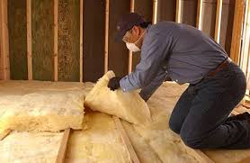 Best Garage Insulation  in Poth, TX