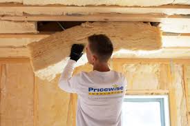 Best Spray Foam Insulation  in Poth, TX