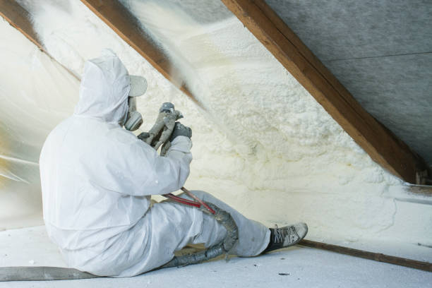 Best Attic Insulation Installation  in Poth, TX