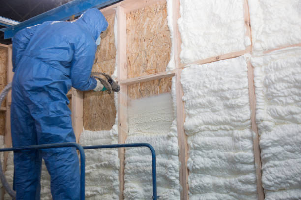 Best Eco-Friendly Insulation Solutions  in Poth, TX